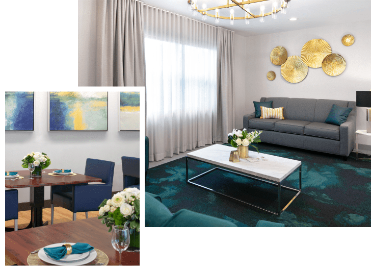 avantara elgin collage