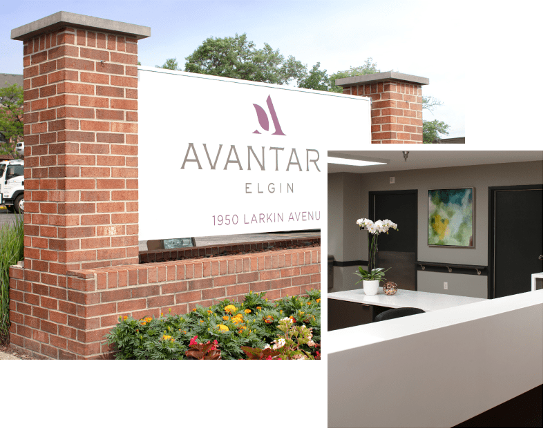 avantara elgin collage2